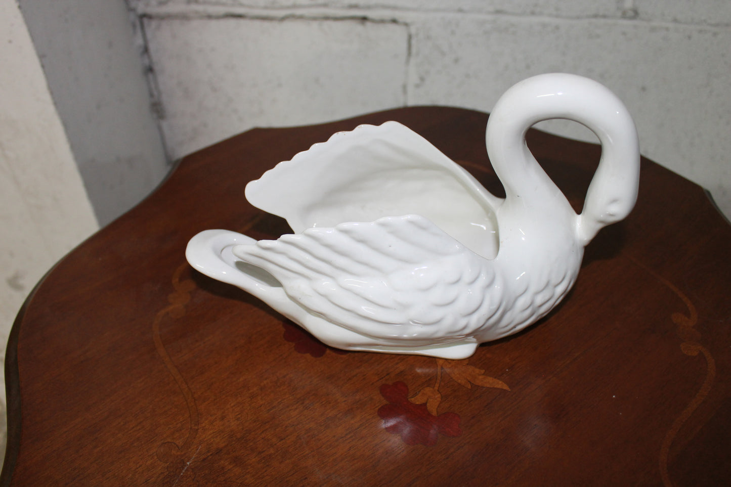 Cigno