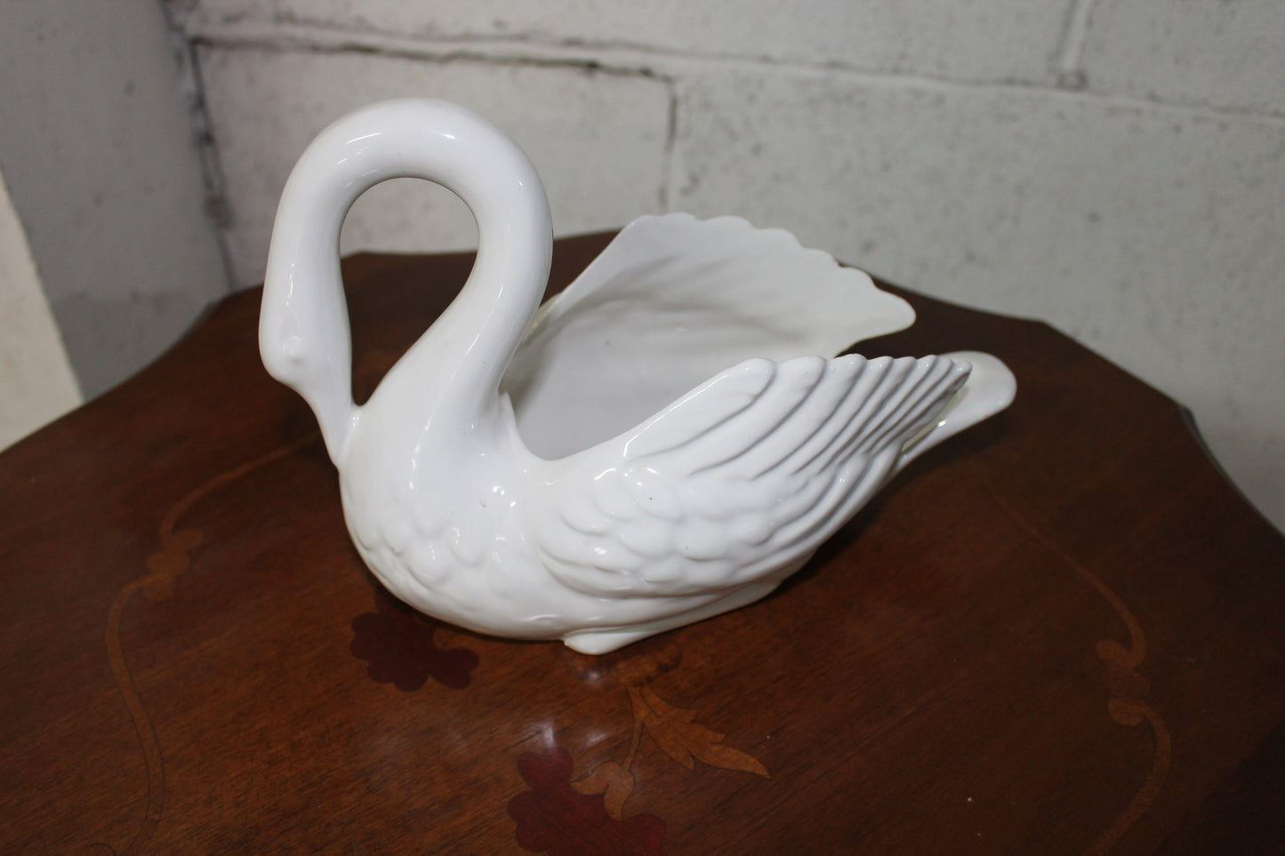 Cigno