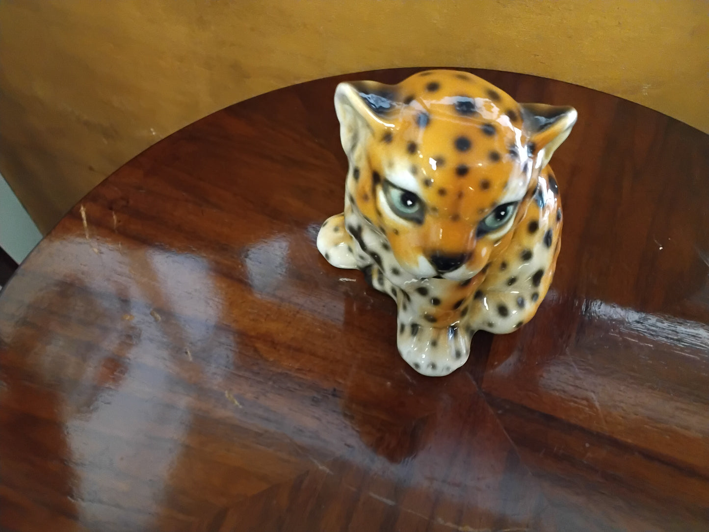 Cucciolo