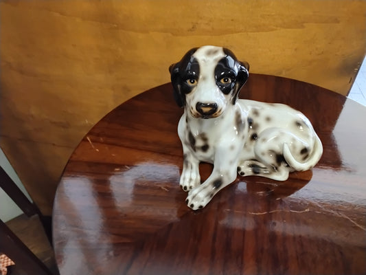 Dalmata